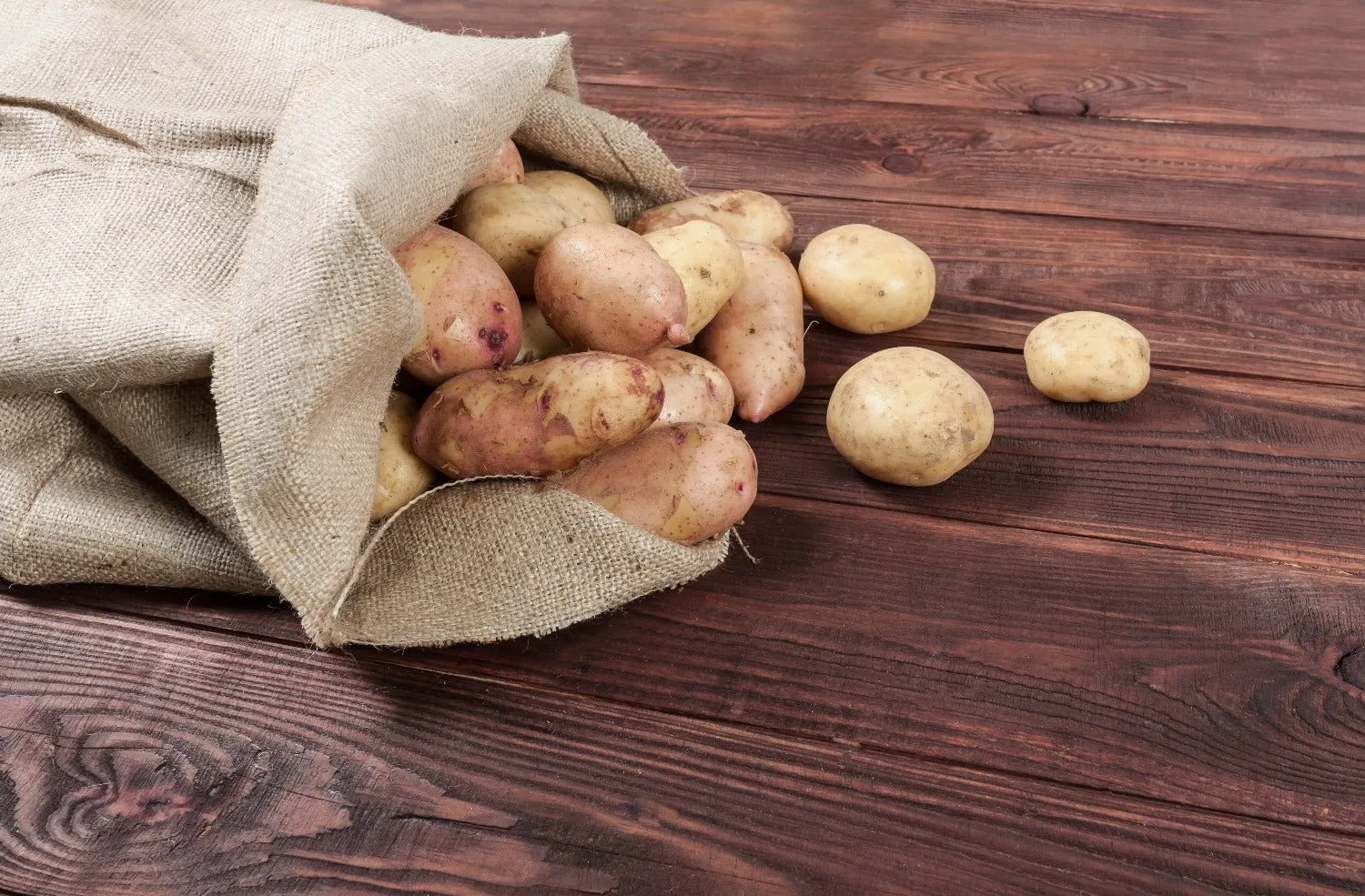 18" x 30" Burlap Potato Sacks (100% Biodegradable)