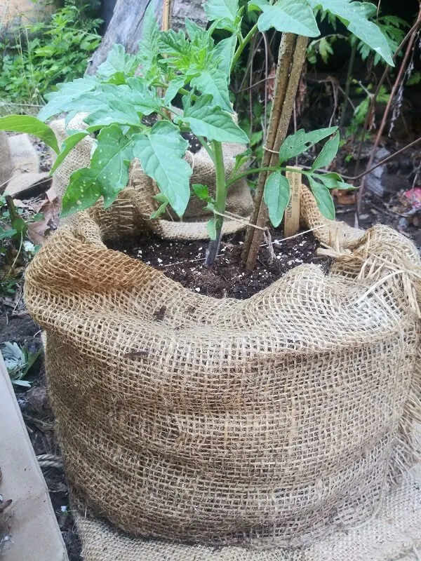 18" x 30" Burlap Potato Sacks (100% Biodegradable)