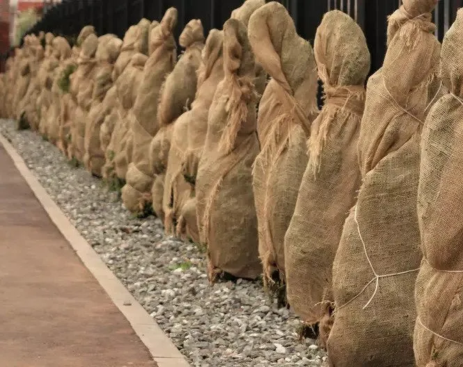 24" x 40" Burlap Plant Covers for Outdoor Trees and Shrubs - Food Grade
